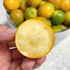 【金桔】正宗广西融安脆皮金桔（大果），纯甜无酸，水分足，老少皆宜，人肺、胆经，理气解郁！ 商品缩略图2