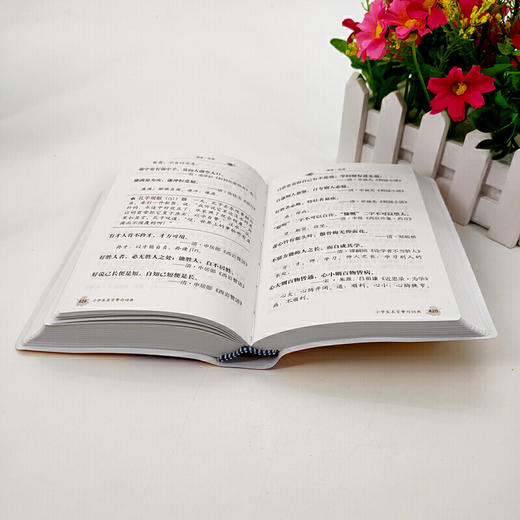 小学生名言警句词典(作文必备版) 商品图5