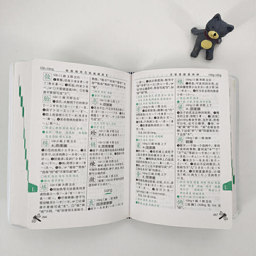 小学生规范字典(第4版) 商品图6