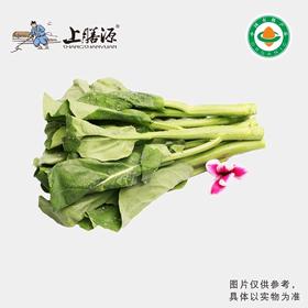 【下单后2-3天发货】上膳源有机芥蓝