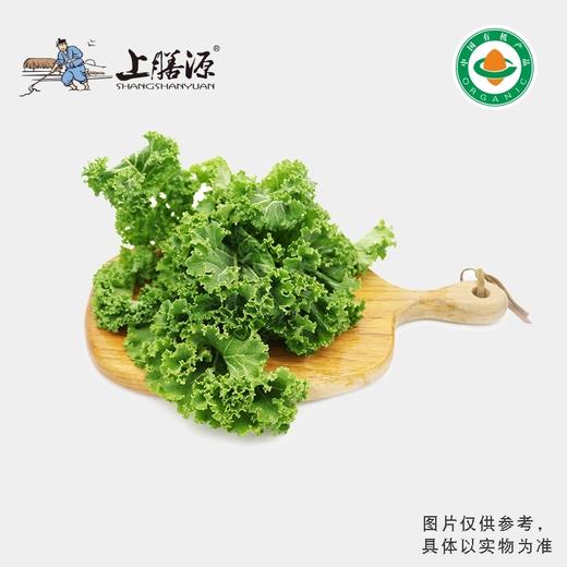 【下单后2-3天发货】上膳源有机羽衣甘蓝 商品图0