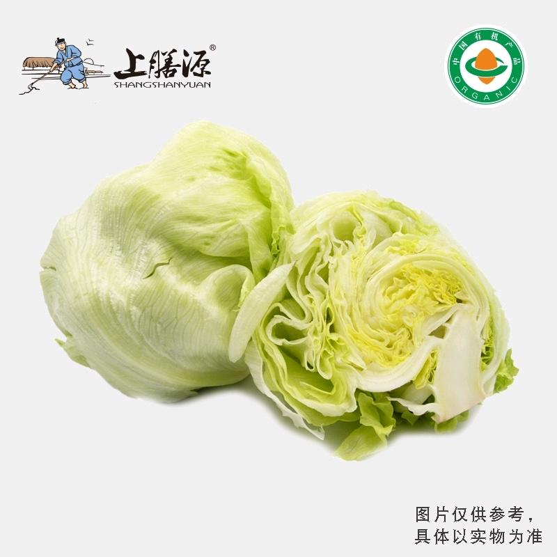 上膳源有机结球生菜