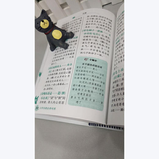 小学生歇后语词典(2019) 商品图4