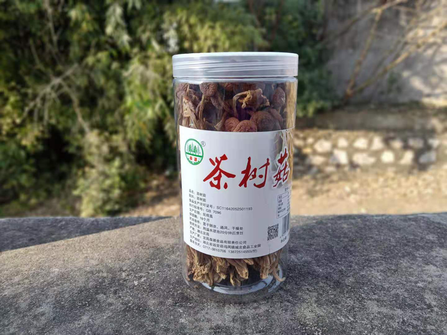 【远安】森源食品罐装茶树菇180g不含邮费