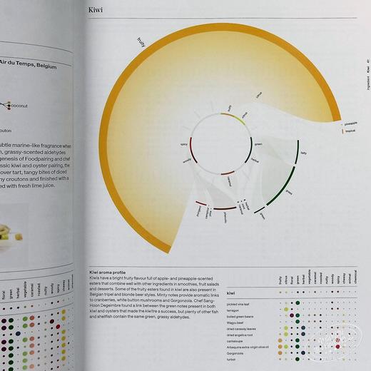 【中商原版】食材的艺术与科学 英文原版 The Art & Science of Foodpairing 商品图4
