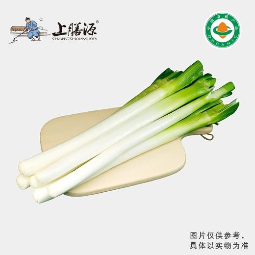 【下单后2-3天发货】上膳源有机大葱 商品图0