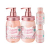 AMINO MASON 樱花洗护套装清爽型450ML*2+80ML*2 特惠装JPY带授权招加盟代理 商品缩略图0