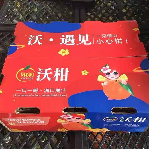 【广西武鸣沃柑】约 8斤/礼箱  一口一瓣，满口飙汁 商品图4