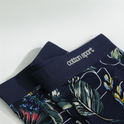 男丨男士60支数码印花无痕平脚内裤莫代尔柔软【CSM20101】 商品图2