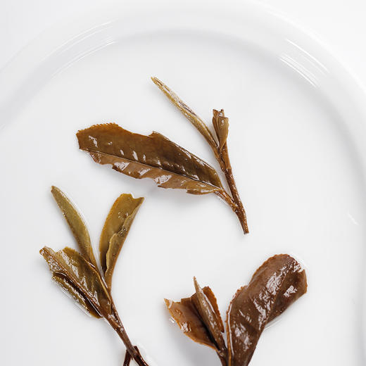 尚品 2011年白牡丹 福鼎白茶 357g/饼  成箱规格：4提共28饼 商品图3