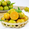 【香甜茶橘】5斤/礼盒，自带茶叶香气 商品缩略图0
