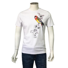 Marco Azzali短袖T恤 T3826300