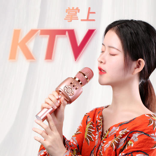 机乐堂蓝牙外放麦克风/JR-MC2话筒音响一体K歌唱歌直播 商品图1