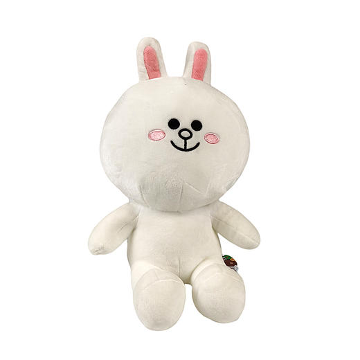 LINE FRIENDS基本款玩偶毛绒玩具礼物 商品图1