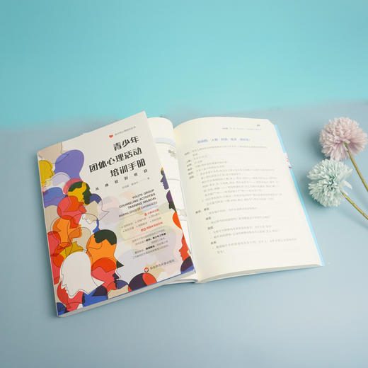 青少年心理培训丛书2册 青少年团体心理活动培训手册从体验到收获+Gao级玩家如何上心理课团体活动设计与指导 华东师范大学出版社 商品图3