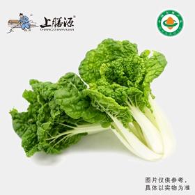 【下单后2-3天发货】上膳源有机黄心乌