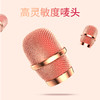 机乐堂蓝牙外放麦克风/JR-MC2话筒音响一体K歌唱歌直播 商品缩略图3