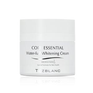 hiliving  TezBlanCore Essential Water核心精华水全白霜#401849JPY带授权招加盟代理 商品图0