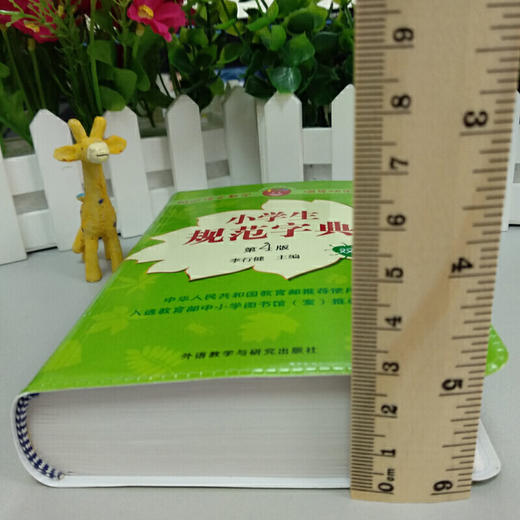 小学生规范字典(第4版) 商品图4