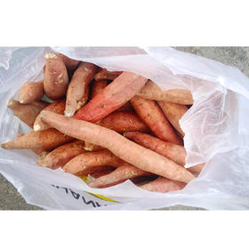 【9.8元/袋】小蜜薯1袋约10斤左右（1501806）