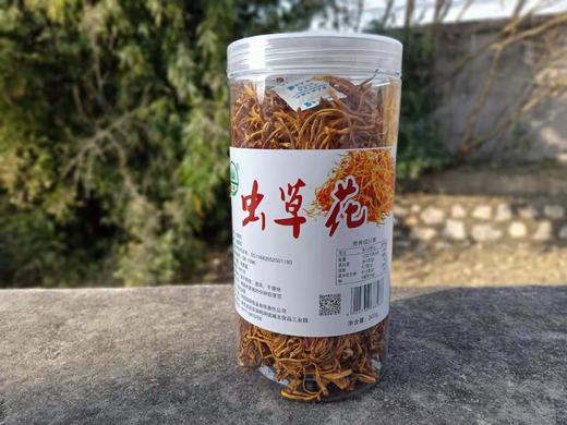 【远安】森源食品罐装虫草花260g不含邮费 商品图0