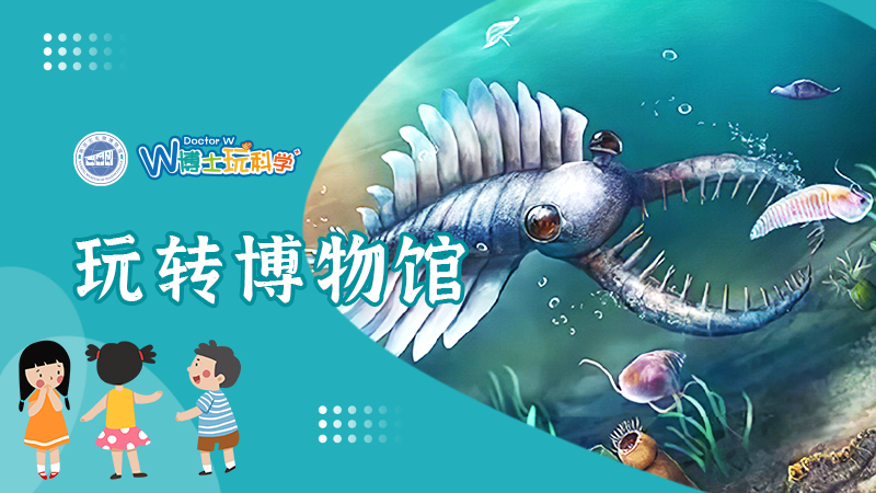 【南京】南京古生物博物馆 || 差价链接 团队专拍 散客勿拍