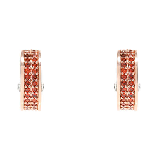 瑷嘉莎 AGATHA MOZART CZ 耳饰JPY带授权招加盟代理 商品图1