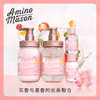 AMINO MASON 樱花洗护套装滋润型450ML*2+80ML*2 特惠装JPY带授权招加盟代理 商品缩略图0