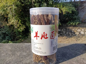 森源食品罐装羊肚菌100g不含邮费