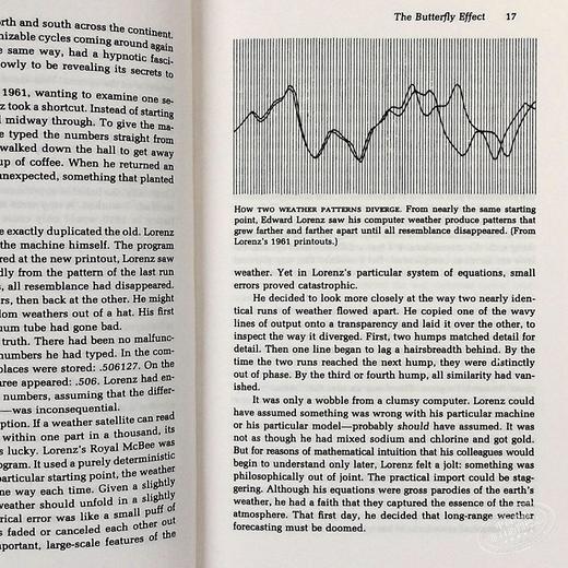 【中商原版】詹姆斯格雷克 混沌：开创新科学 英文原版 Chaos:Making a New Science James Gleick 商品图6