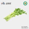 【下单后2-3天发货】上膳源有机芹菜 商品缩略图0