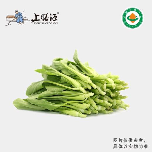 【下单后2-3天发货】上膳源有机鸡毛菜 商品图0