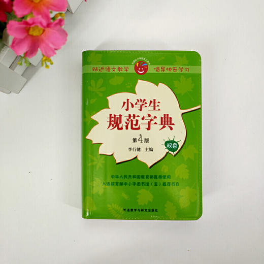小学生规范字典(第4版) 商品图2