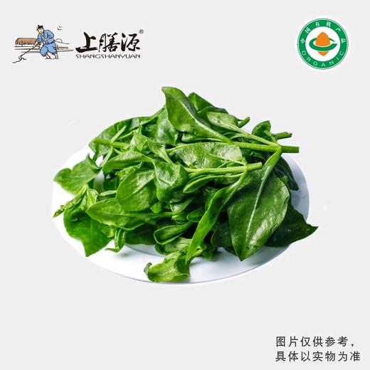 【下单后2-3天发货】上膳源有机田七 商品图0