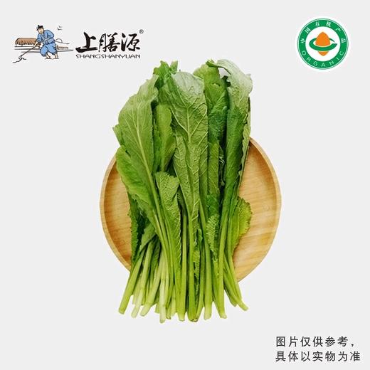 【下单后2-3天发货】上膳源有机春菜 商品图0