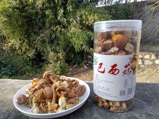 【远安】森源食品罐装巴西菇200g不含邮费 商品图0