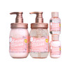 AMINO MASON 樱花洗护套装滋润型450ML*2+80ML*2 特惠装JPY带授权招加盟代理 商品缩略图1