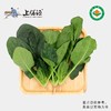 【下单后2-3天发货】上膳源有机菠菜 商品缩略图0