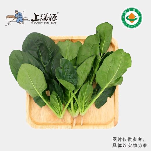 【下单后2-3天发货】上膳源有机菠菜 商品图0