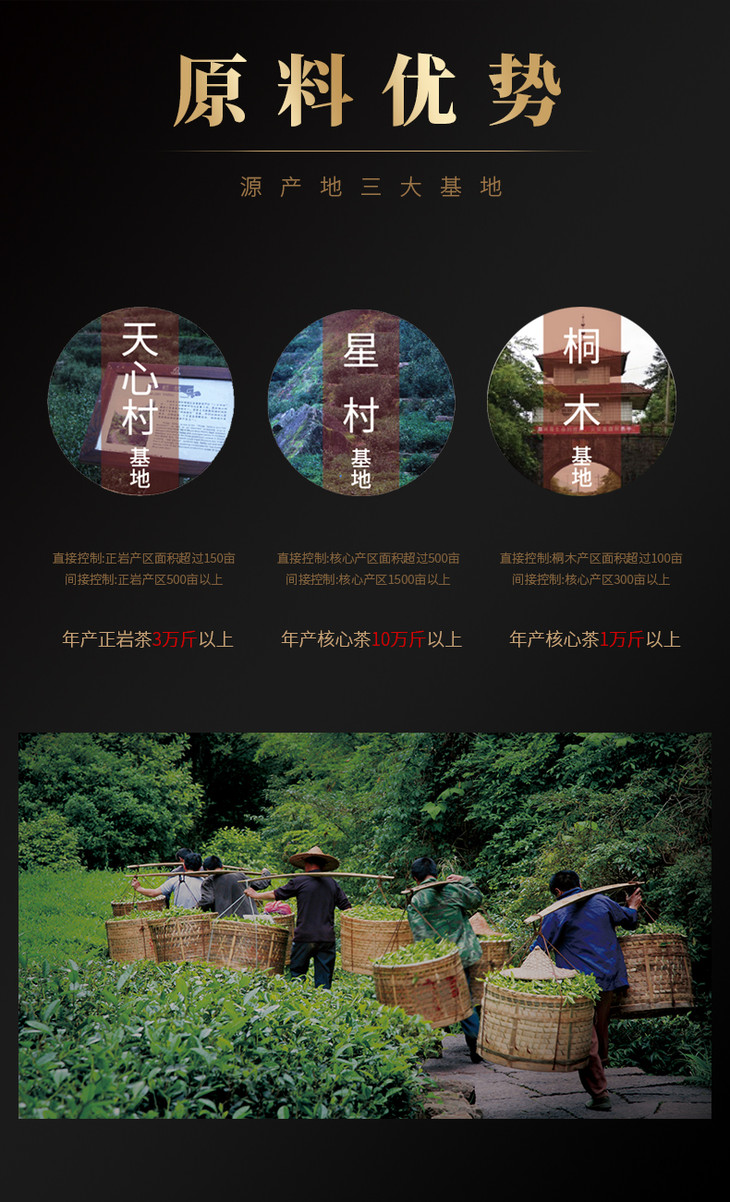 岩语 鉴山系列组合礼盒装武夷岩茶乌龙茶正岩中火送礼136g