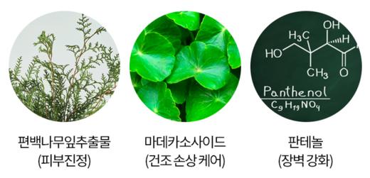 韩国IOPE/艾诺碧 Derma Repair CICA 德玛再生修复面霜 小样5mlJPY带授权招加盟代理 商品图4