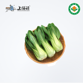 【下单后2-3天发货】上膳源有机大青菜