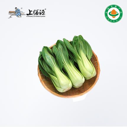 【下单后2-3天发货】上膳源有机大青菜 商品图0