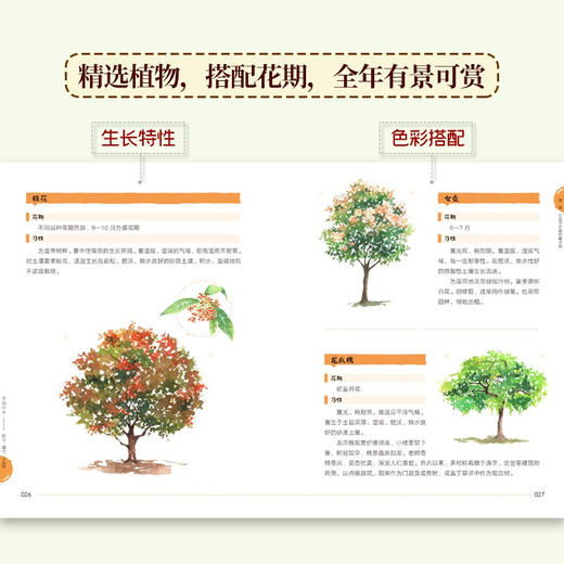 花园时光：阳台、露台、小庭院设计打造维护以及园艺生活 商品图3