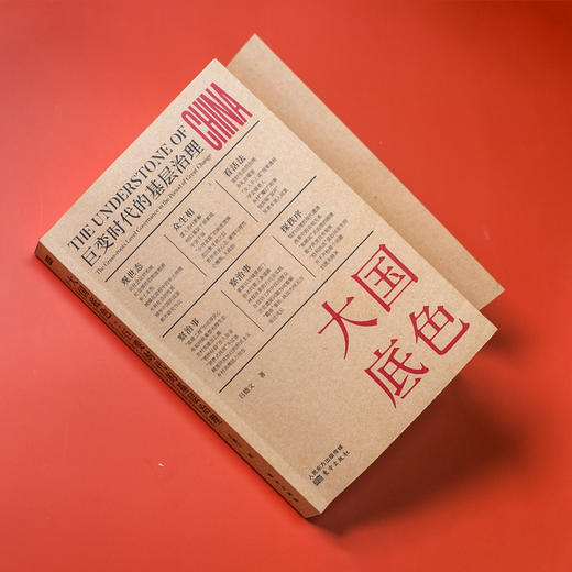 大国底色：巨变时代的基层治理 商品图3