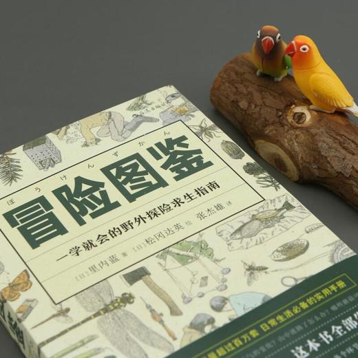 冒险图鉴 一学就会的野外探险求生指南 里内蓝 著 日常生活百科实用手册 野外探险求生指南 生活户外图鉴书籍 商品图2