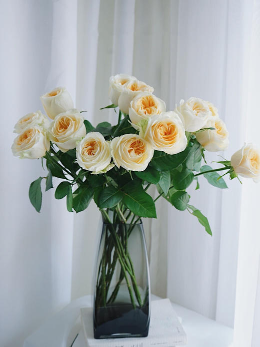 奶油杯玫瑰【但愿日子清透，抬头遇见都是柔情】简小姐精选 稀有新品温柔A级奥斯汀玫瑰 奶油杯10枝 2束包邮 下单7天内发货 商品图4
