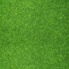 柿橙测试商品推广(有描述)