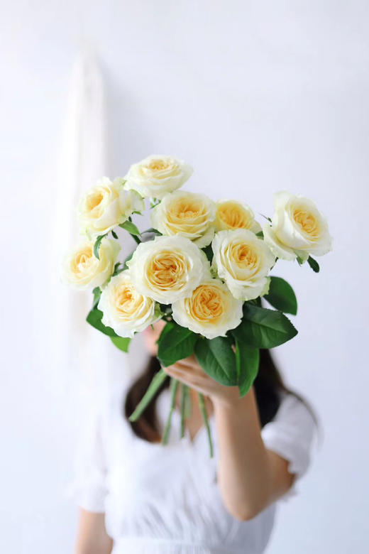 奶油杯玫瑰【但愿日子清透，抬头遇见都是柔情】简小姐精选 稀有新品温柔A级奥斯汀玫瑰 奶油杯10枝 2束包邮 下单7天内发货 商品图10