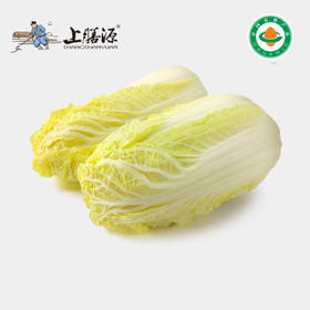 【下单后2-3天发货】上膳源有机娃娃菜